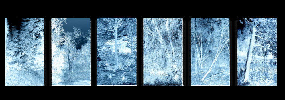 Kalevala sininen metsä
