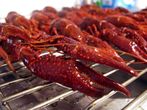 Rapujen keittäminen, valuta ravut